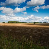 Поле. :: Андрей Андрианов