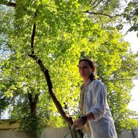 *** :: Владимир Захаров