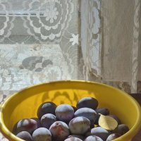 Сливы :: Наталья 