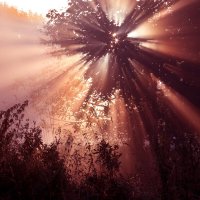 Утро 13 сентября. Царицыно :: Михаил Бибичков