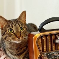 Слушая "Ретро-ФМ " :: Vladimir Semenchukov