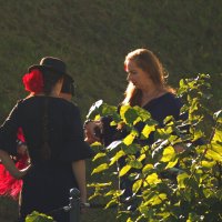 Дела, девичьи :: Александр Козлов