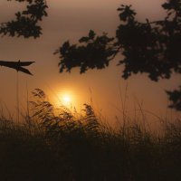 Мечты :: liudmila drake