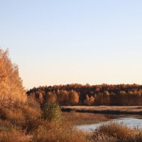 Золото осени :: Дмитрий Петров