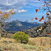 Крым. :: Мария Яковлева