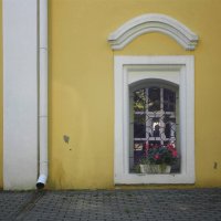 окно Храма Воскресения Христова :: Лера 