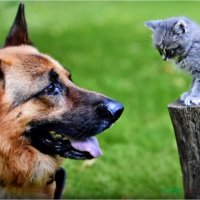 НАШИ БЛИЗКИЕ :: Юрий Владимирович 34