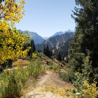 Шаги осени :: Алексей Большаков