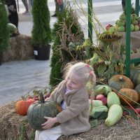 Дары осени (фестиваль Город Сад) :: Татьяна Машошина