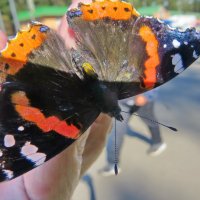 Адмирал-путешественник :: Александр Чеботарь Адмирал-путешественник :: Александр Чеботарь