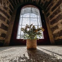 Прекрасное утро :: Дмитрий Иванов