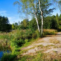 Осенний пейзаж. :: Милешкин Владимир Алексеевич 