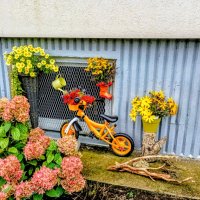 Осенний интерьер :: Veera V Осенний интерьер :: Veera V