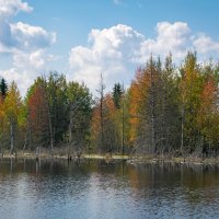 - :: Владимир Мигонькин