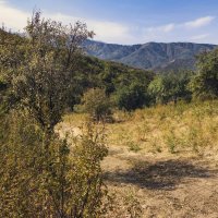 Осень  " первоначальная"... :: LudMila 