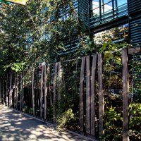 Огород начинается сразу тыном,,,) :: Анатолий Колосов