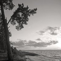 *** :: Сергей Григорьев