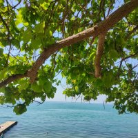 В Новом Афоне :: Ирэн 