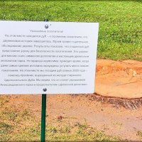 Здесь стоял 200 летний дуб ... :: Сергей Здесь стоял 200 летний дуб ... :: Сергей