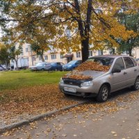 Злато-серебро :: Дмитрий Костоусов