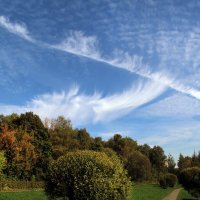 . :: РИТА ЛЕВКОВА