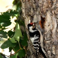 ** :: Vlad Сергиевич