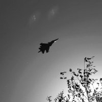 Небо, самолёт. :: Наталия 