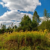 Осень она не спросит 13 :: Андрей Дворников