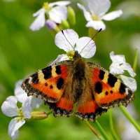 из сегодняшней съёмки 5 :: Александр Прокудин
