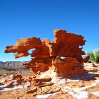 Чудо-Юдо из американского штата Невада. :: unix (Илья Утропов) Чудо-Юдо из американского штата Невада. :: unix (Илья Утропов)