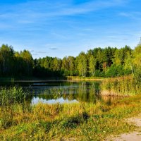 Осенний вечер на озере. :: Милешкин Владимир Алексеевич 