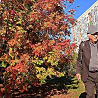 Осенний уголок Нефтеюганска! :: Владимир 