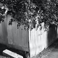 ... :: Денис Безногов