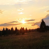 На закате дня :: Александр Щеклеин