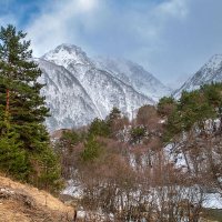 Горная Дигория. Северная Осетия Алания. :: Дина Евсеева