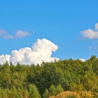 Сентябрьский пейзаж :: Светлана Сентябрьский пейзаж :: Светлана