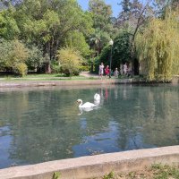 Лебединое озеро в Новом Афоне :: Ирэн 