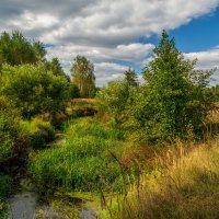 Осень она не спросит 14 :: Андрей Дворников