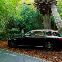 Мотивы осени :: Владимир Манкер Мотивы осени :: Владимир Манкер