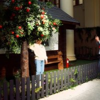 Фотозона в павильоне "Беларусь" . :: Татьяна Помогалова Фотозона в павильоне "Беларусь" . :: Татьяна Помогалова