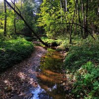 * * * :: Андрей Лукьянов * * * :: Андрей Лукьянов