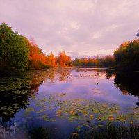 Осенний вечер :: Сергей Кочнев