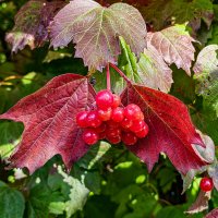 Сентябрь :: Dmitry i Mary S