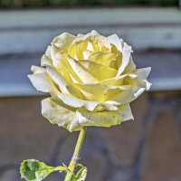 Осенняя :: Валерий Иванович