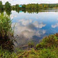 На речке :: Петр 