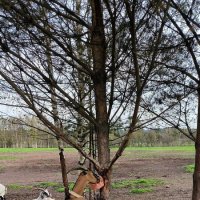 В Яви Нави. :: Ольга 