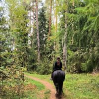 Прогулка в лесу. :: Ольга 