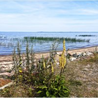 На Калининградском заливе. :: Валерия Комова На Калининградском заливе. :: Валерия Комова