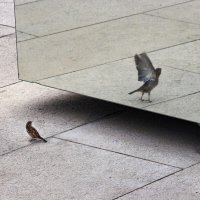 Полёт фантазии :: Татьяна Сергиенко