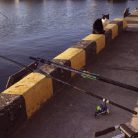 Рыболов :: Татьяна Сергиенко